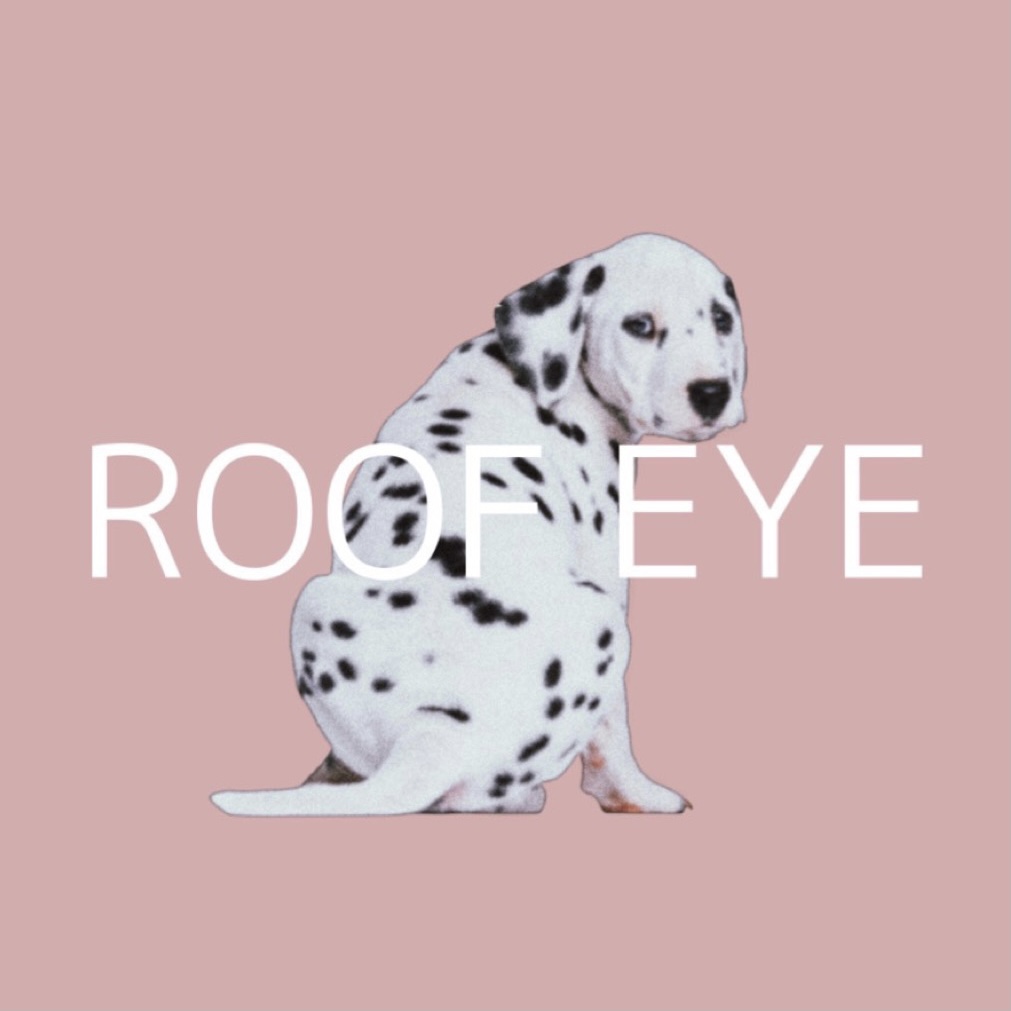 あの犬のとこ! ROOF EYE（ルーフアイ）英賀保/姫路